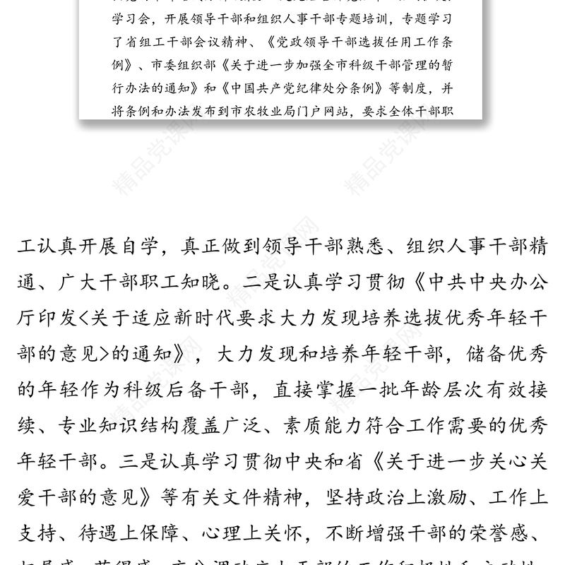 关于干部选拔任用工作的专题报告