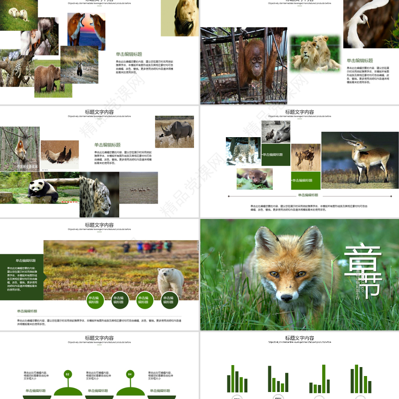 原创保护珍贵野生动物ppt课件-版权可商用