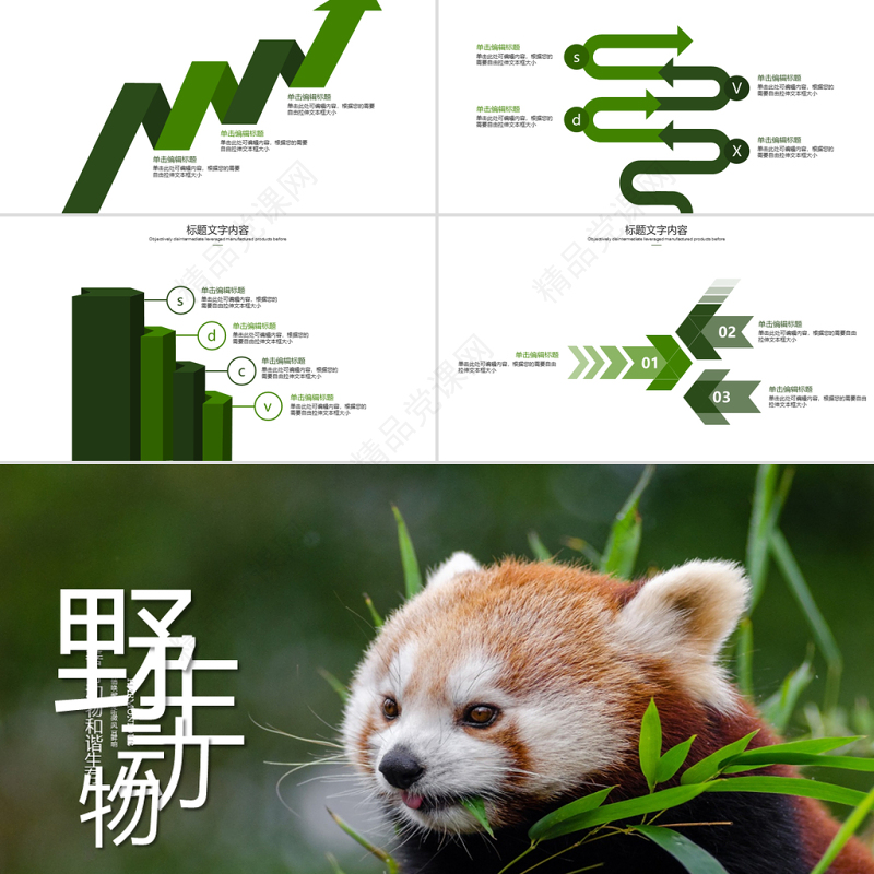 原创保护珍贵野生动物ppt课件-版权可商用