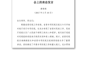 巡视表态发言汇编