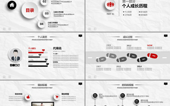 党政风简约优质职业生涯规划PPT模板课件