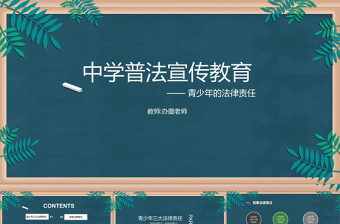 2025智慧团建组织生活会法制教育ppt