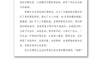 村官工作总结脱贫攻坚专项巡视整改专题民主生活会总结讲话稿