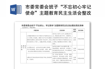 2025不忘初心牢记使命主题教育汇报ppt