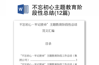 2025不忘初心砥砺逐梦ppt