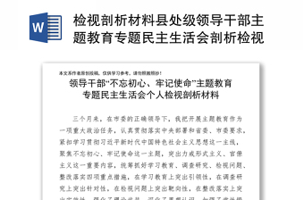 检视剖析材料县处级领导干部主题教育专题民主生活会剖析检视材料