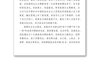 检视剖析材料县处级领导干部主题教育专题民主生活会剖析检视材料