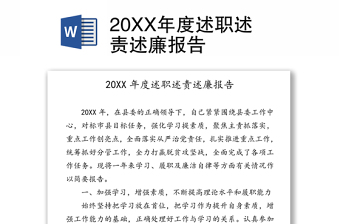 20XX年度述职述责述廉报告