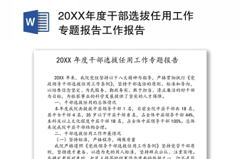 20XX年度干部选拔任用工作专题报告工作报告