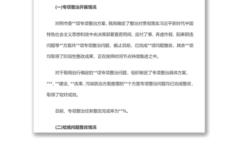 关于主题教育整改整治进展情况的报告整改方案