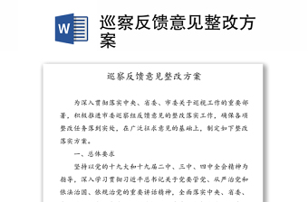 巡察反馈意见整改方案