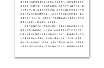 全面从严治党主体责任半年工作汇报