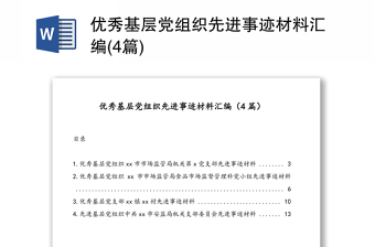 2025党支部先进典型材料ppt