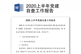 上半年党建自查工作报告