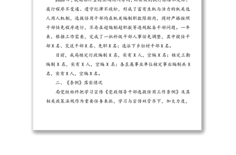 年度干部选拔任用工作专题报告