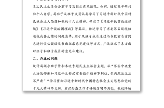 巡视反馈问题整改专题民主生活会对照检查材料