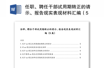 2025转正汇报PPT模板用友