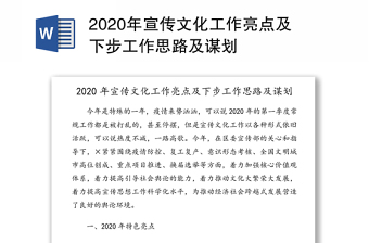 年宣传文化工作亮点及下步工作思路及谋划