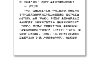 年述学述职述廉述法报告个人