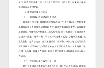 年学校支部度基层党建述职报告