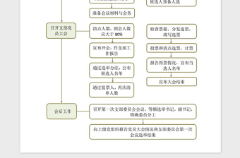 年党支部选举换届选举工作流程