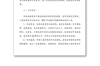 年发展党员工作计划2篇