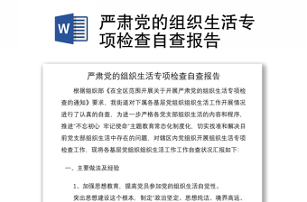 严肃党的组织生活专项检查自查报告