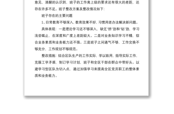 党支部支部书记问题清单及整改措施