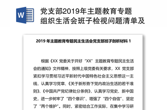 党支部2019年主题教育专题组织生活会班子检视问题清单及整改措施2篇