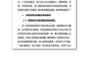 党支部2019年主题教育专题组织生活会班子检视问题清单及整改措施2篇