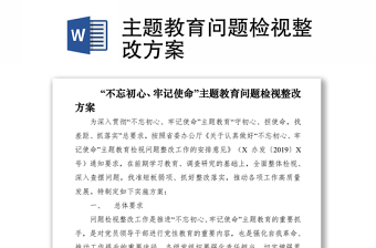 主题教育问题检视整改方案