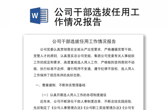 公司干部选拔任用工作情况报告