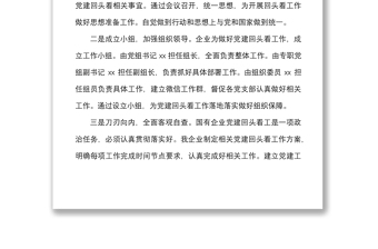 企业开展全国国有企业党的建设工作会议精神贯彻落实情况回头看情况报告范文集团公司工作汇报总结