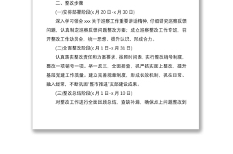 2021市基层党组织建设巡察反馈问题整改方案