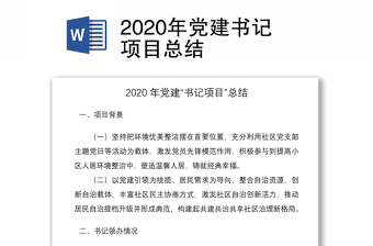 2025书记党课总结