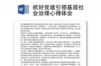 抓好党建引领基层社会治理心得体会