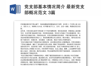 党支部基本情况简介 最新党支部概况范文 3篇