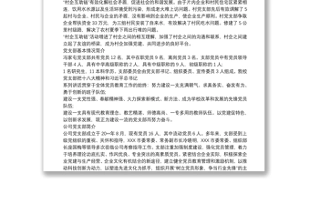 党支部基本情况简介 最新党支部概况范文 3篇