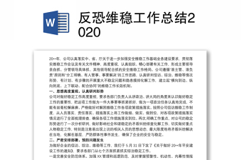 反恐维稳工作总结2020