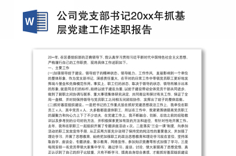 2025党支部书记述职报告新闻稿ppt