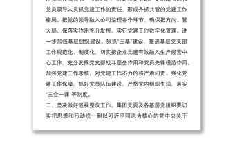 公司企业支部年度党建工作计划