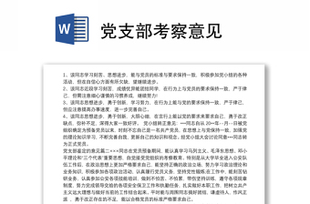 2025党支部考察意见半年重要吗