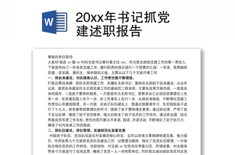 20xx年书记抓党建述职报告