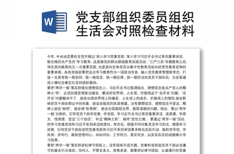 2025七项组织生活党建ppt