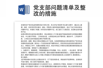 2025党支部问题查摆整改总结