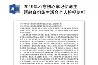 2019年不忘初心牢记使命主题教育组织生活会个人检视剖析材料