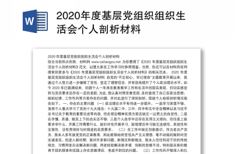 年度基层党组织组织生活会个人剖析材料