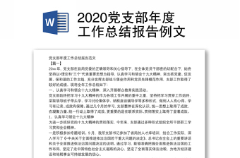 2025党支部年度报告PPT