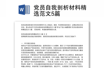 2025党风党纪方面剖析材料范文