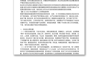 年支部委员个人对照检查材料九篇